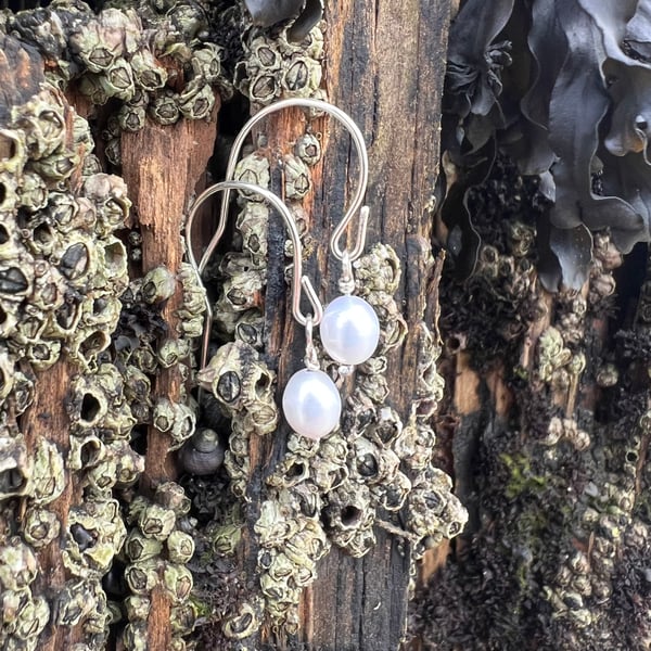   Small Freshwater Pearl Earrings