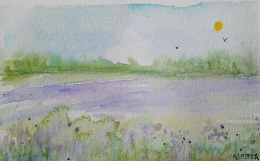 ,PHACELIA FIELDS , Original wildflower watercolour landscape 