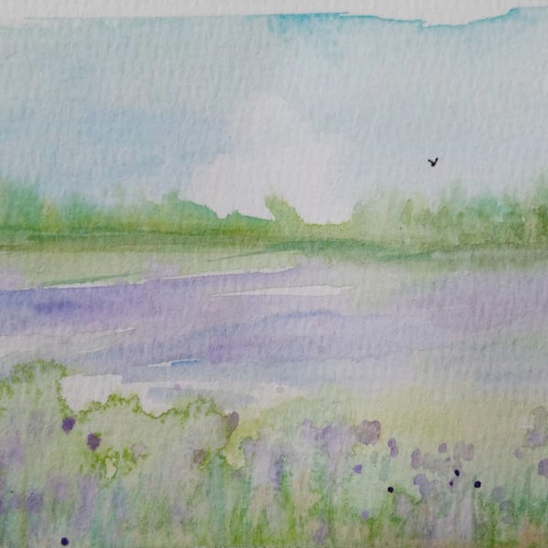 ,PHACELIA FIELDS , Original wildflower watercolour landscape 