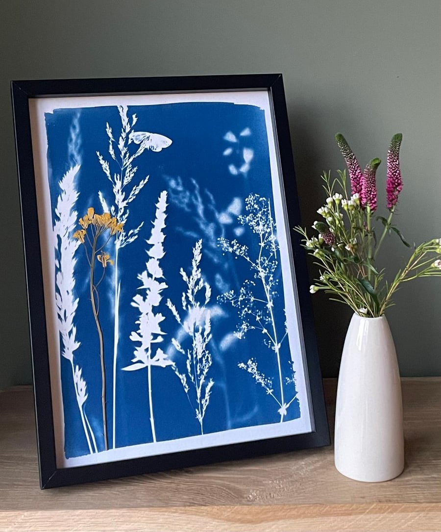 In The Wild with Pressed Flower 1