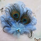 Pale Sky Blue Peacock Feather Regency Style Headpiece Fascinator