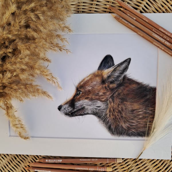 BEAUTIFUL Fox Drawing Fine Art Print Wildlife 
