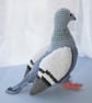 Crochet Pigeon - Image 3