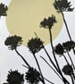 Botanical art, Garden Chives, shadow painting, original artwork, signed - Image 2