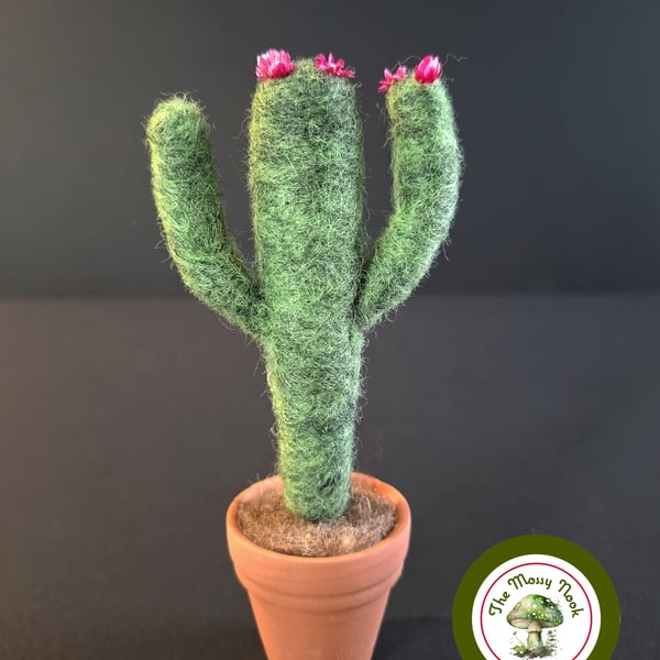 Small Flowering Cactus. Needle Felted with Wool Fibres. Real Terracotta Pot.