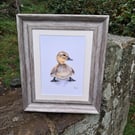 Framed Duckling Drawing fine art Gilcee print 