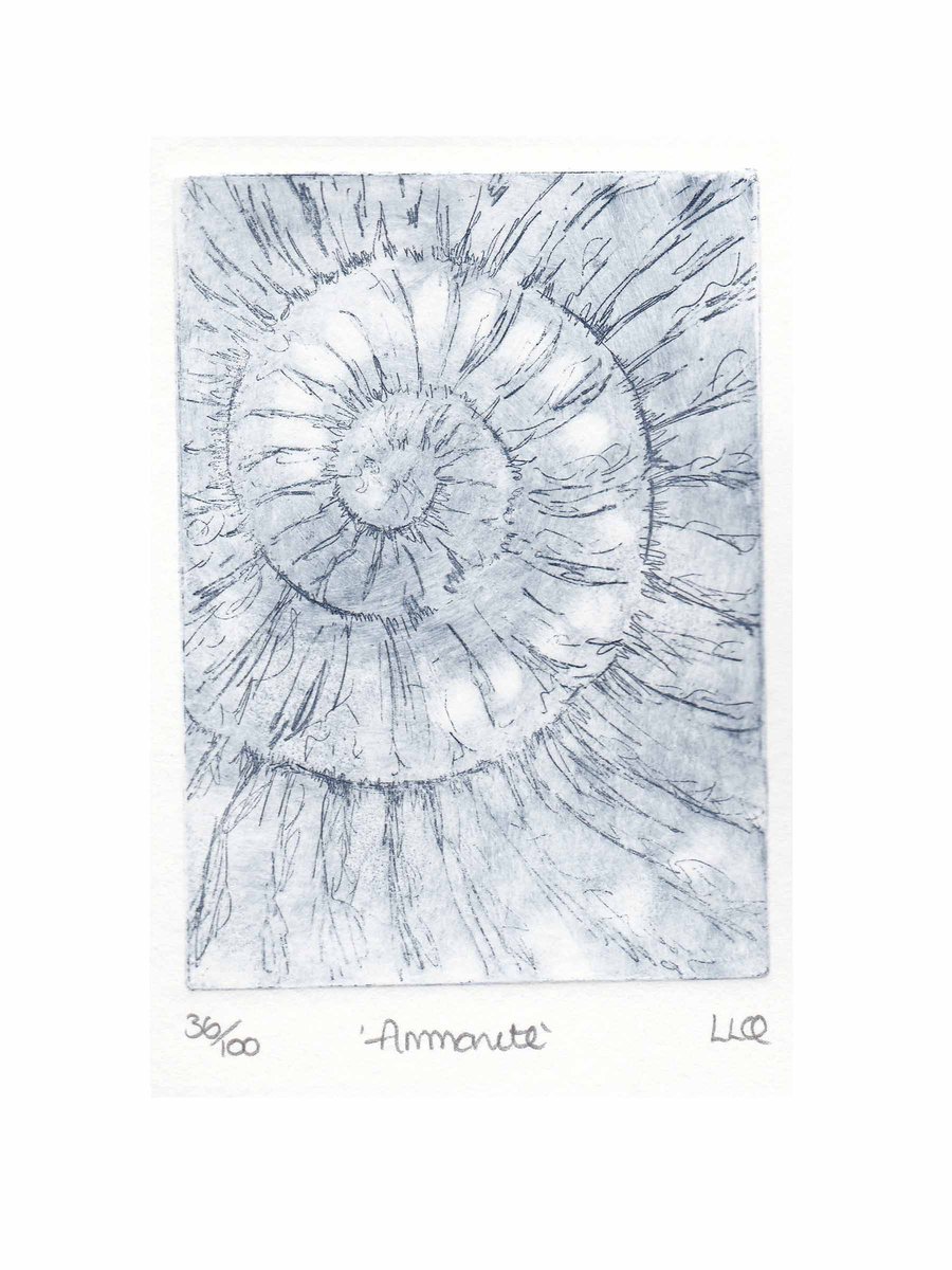 Etching no.36 of an ammonite fossil in an edition of 100