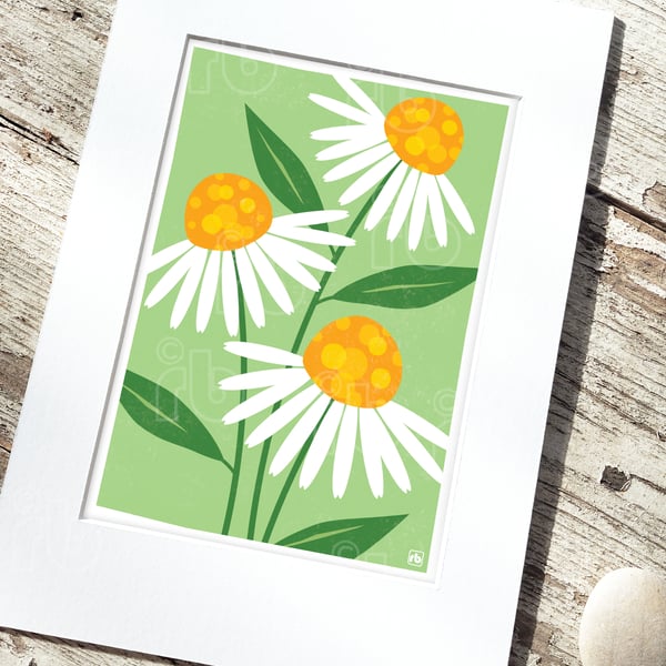 Echinacea Flowers, flower print for wall, original Giclee print