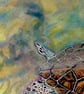 Original Watercolour 'Liquid Light' Hawksbill Turtle of Aldabra - Image 3
