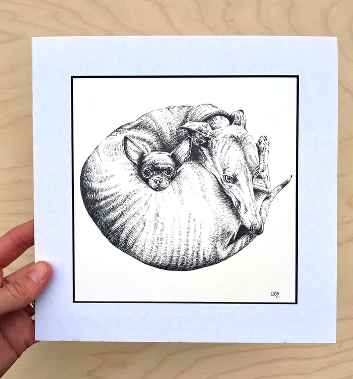 Original Whippet & Chihuahua Ink Sketch - 'Best Friends' - 23 x 23 cm Mounted