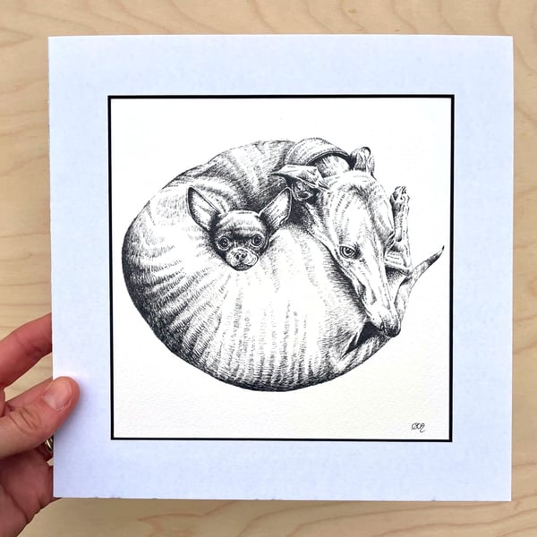 Original Whippet & Chihuahua Ink Sketch - 'Best Friends' - 23 x 23 cm Mounted