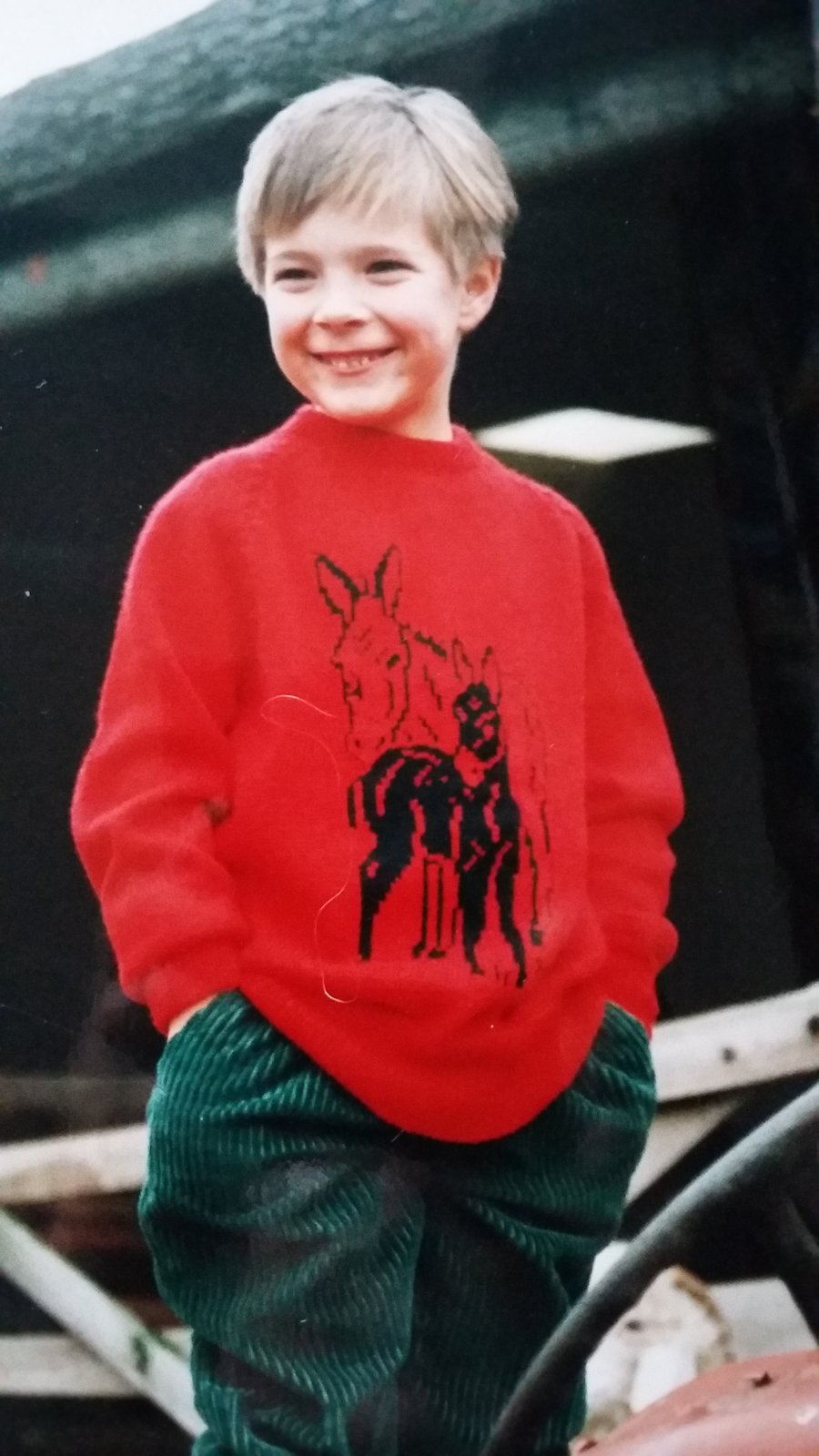 Donkey jumper with a motif of donkey and foal. machine wash wool.