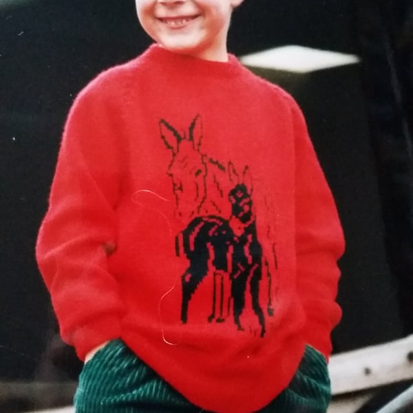 Donkey jumper with a motif of donkey and foal. machine wash wool.