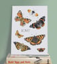 Butterfly Art Print - A5 size - Scottish wildlife illustration - Image 2