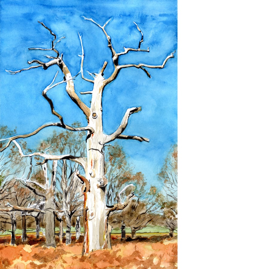 Tree in Richmond Park. Original watercolour.