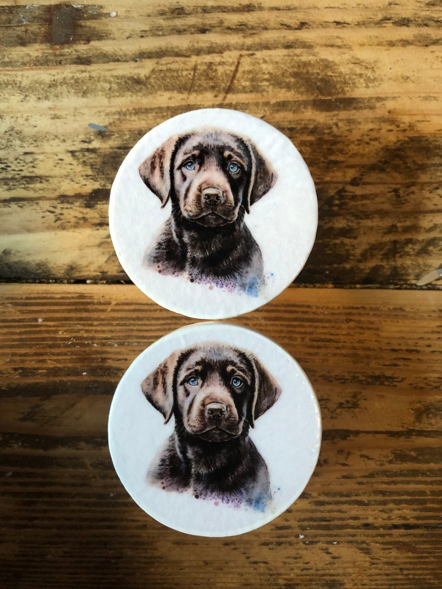 Handmade brown labrador pine door knobs wardrobe drawer handles decoupaged