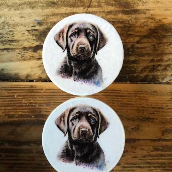 Handmade brown labrador pine door knobs wardrobe drawer handles decoupaged