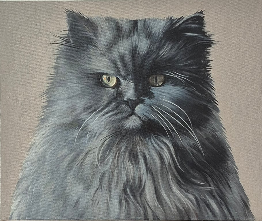 Persian blue cat portrait. Oil on board. 30.5 x 25.5 cm
