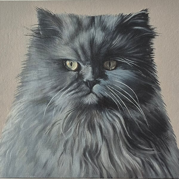 Persian blue cat portrait. Oil on board. 30.5 x 25.5 cm