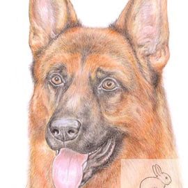 Rex the German Shepherd - Blank Card