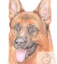 Rex the German Shepherd - Blank Card - Image 1