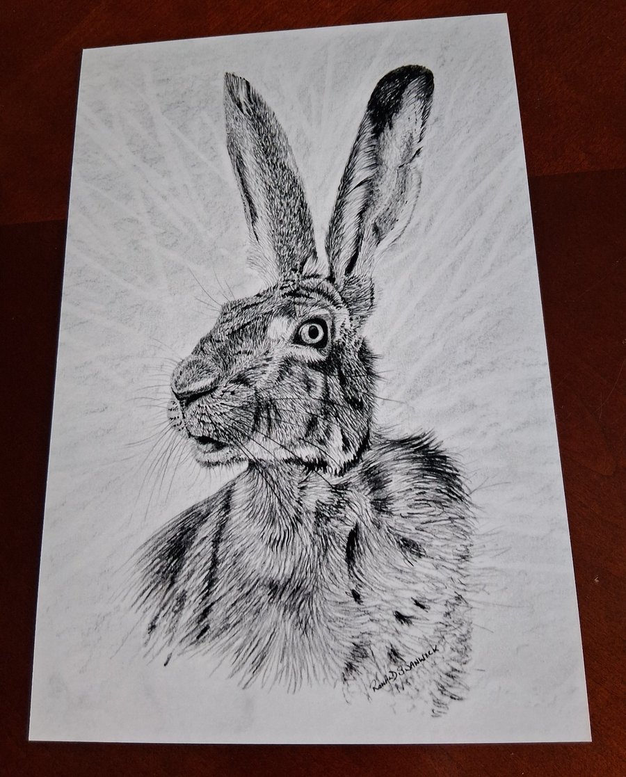 BLACK AND WHITE HARE PHOTOGRAPH 