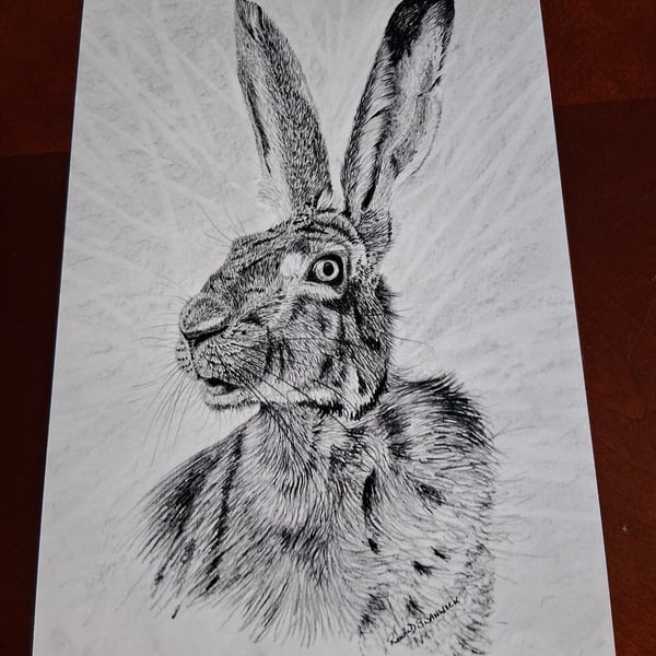BLACK AND WHITE HARE PHOTOGRAPH 