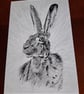 BLACK AND WHITE HARE PHOTOGRAPH 