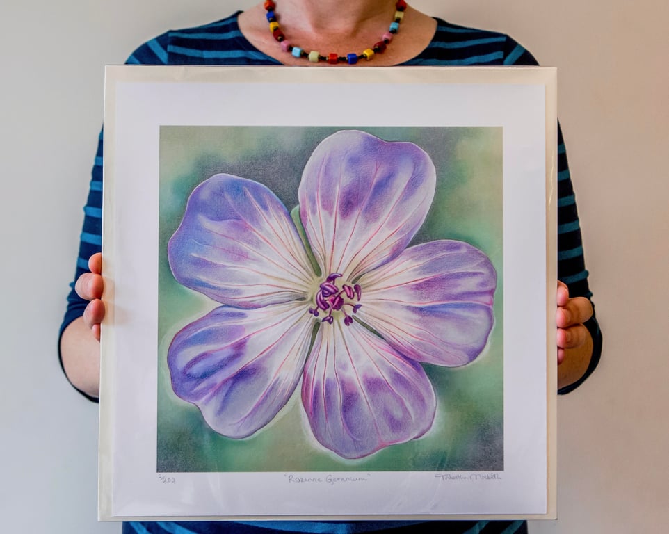 Purple Flower Art print - Rozanne Geranium Flower, Retro Art Print, Geranium Art