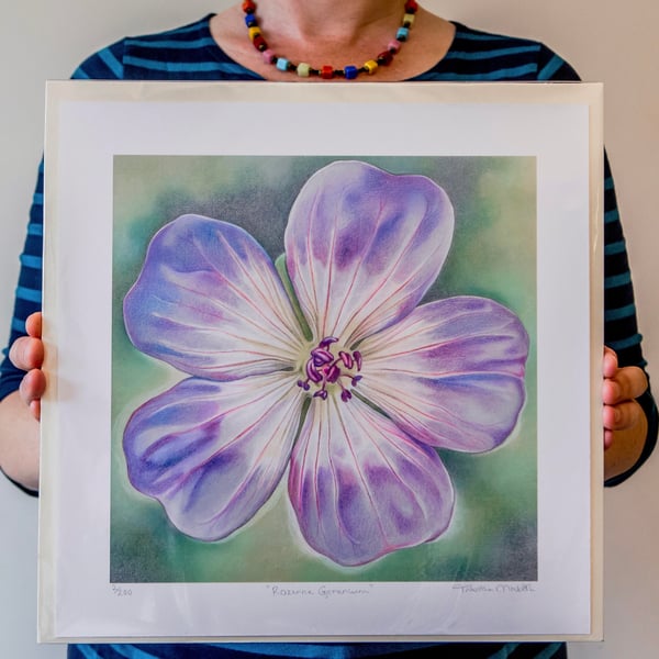 Purple Flower Art print - Rozanne Geranium Flower, Retro Art Print, Geranium Art
