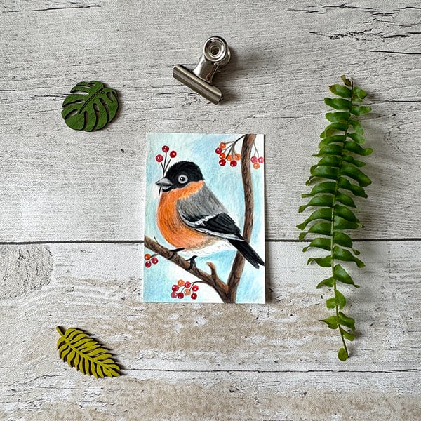 Bullfinch Miniature Original ACEO painting - One of a kind