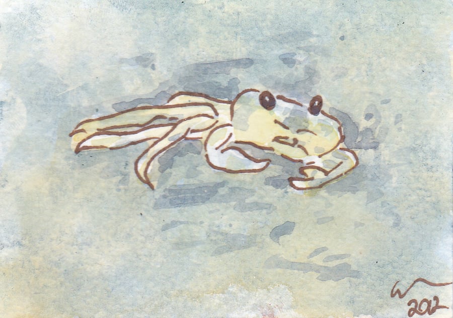 ACEO Animal Art Crab Original Watercolour and Ink Painting OOAK Seaside
