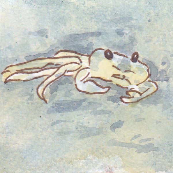 ACEO Animal Art Crab Original Watercolour and Ink Painting OOAK Seaside