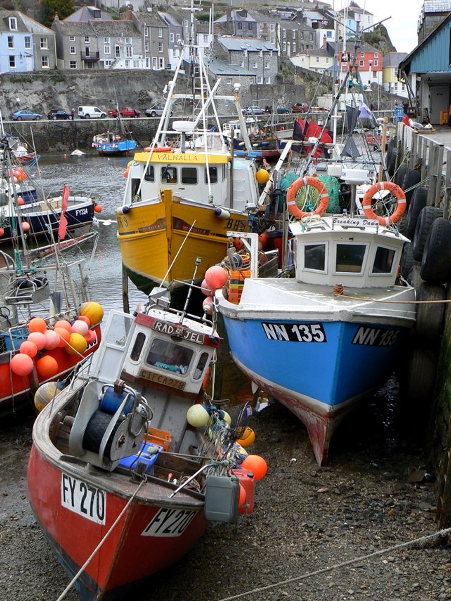Mevagissey Harbour