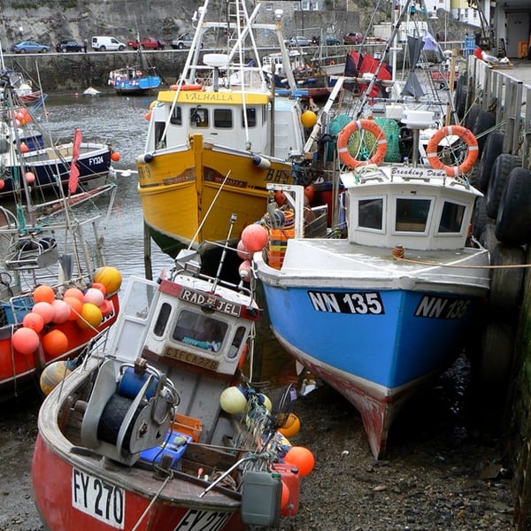 Mevagissey Harbour