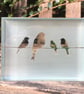 Birds on a Wire Glass Block - Image 4