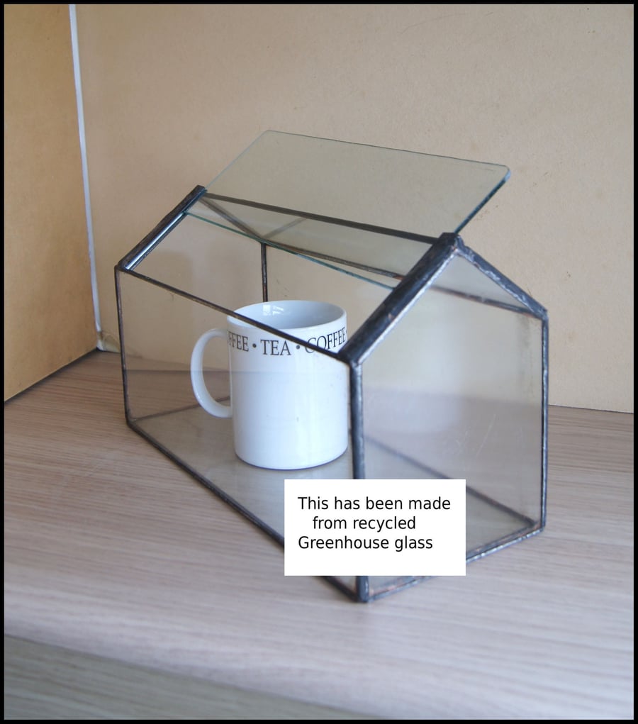 terrarium for succulents 