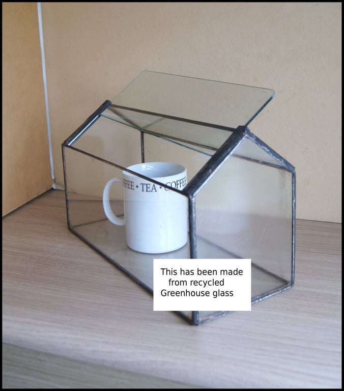 terrarium for succulents 