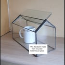 terrarium for succulents 