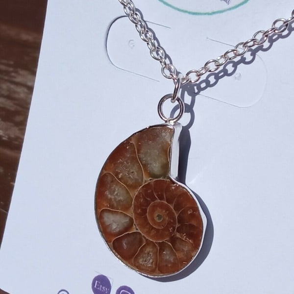 Fine Silver & Recycled Sterling Silver Reiki Healing Ammonite Fossil Necklace