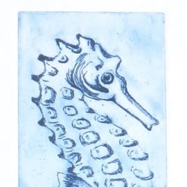 Seahorse an original etching print mounted and ready to frame sealife nature art