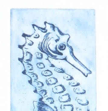 Seahorse an original etching print mounted and ready to frame sealife nature art