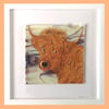 Handmade Fused Glass 'Highland Cow' Picture