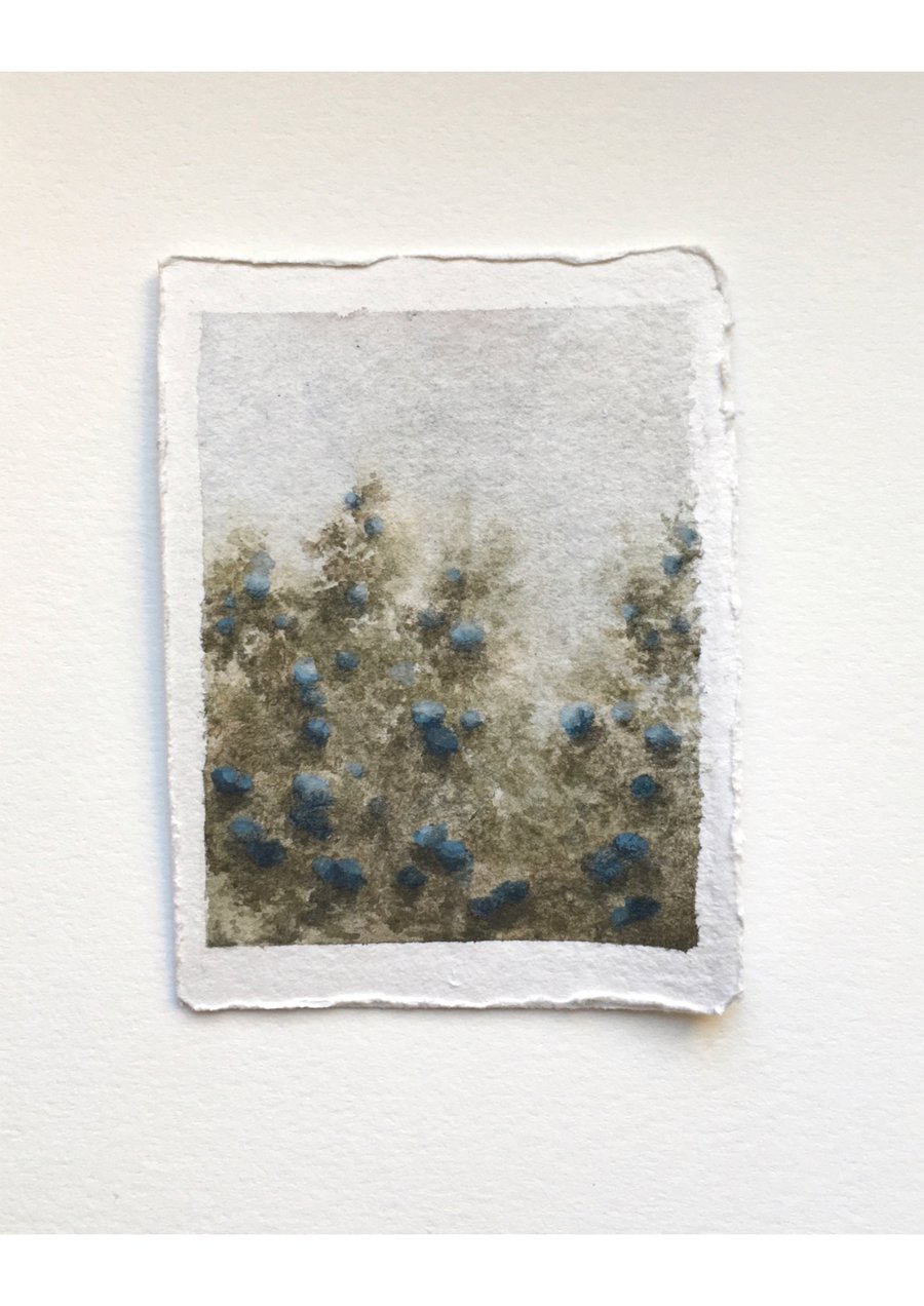 Blue Hydrangea Small Watercolour Painting 