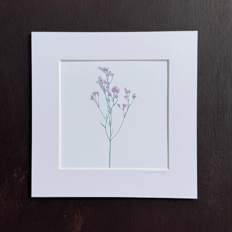 'Limonium' 8" x 8" Mounted Print
