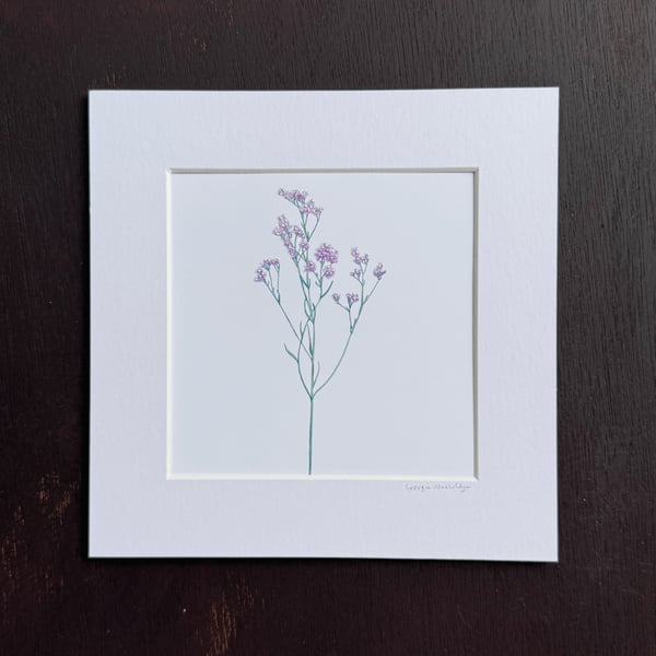 'Limonium' 8" x 8" Mounted Print