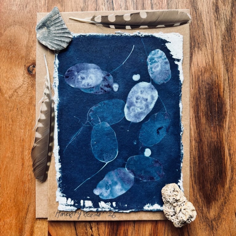Cyanotype Honesty Seed-Heads 3 - Mounted Design - Card with envelope