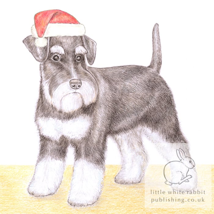 Alice the Miniature Schnauzer - Christmas Hat Card