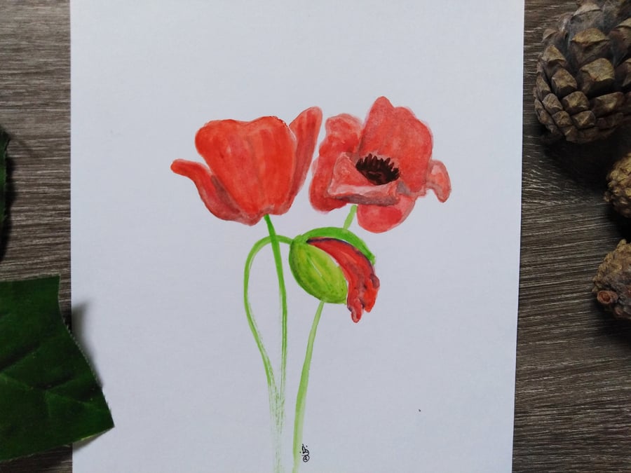 Poppy Watercolour Art, Flower art, Nature painting, Original Art