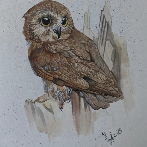 watercolour painting of small owl